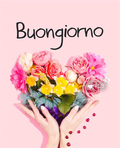 buongiorno con fiori|buon giorno con amore immagini.